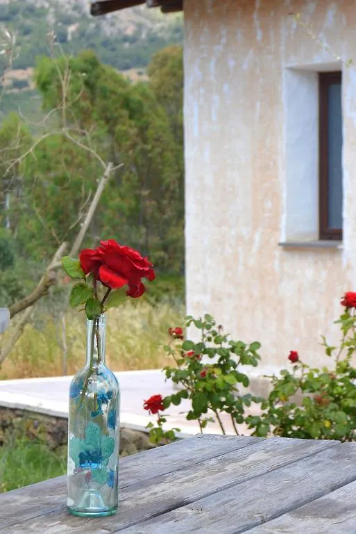 Agriturismo Rubinu Galtellì مزرعة للإقامة