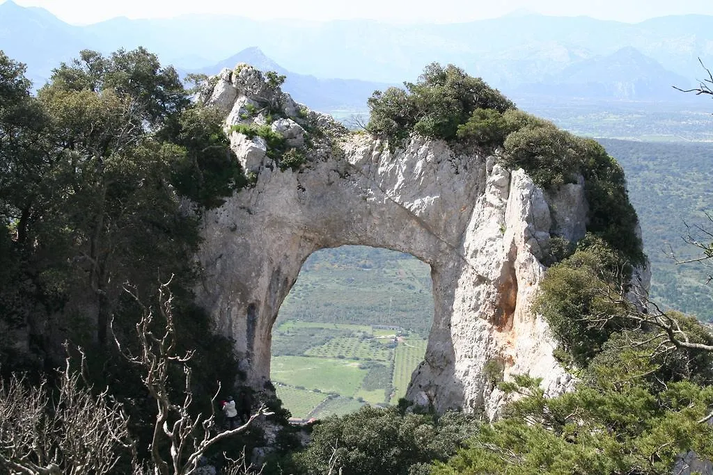 Agriturismo Rubinu Galtellì مزرعة للإقامة